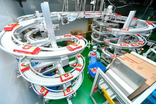 聚焦中小企業紓困幫扶 優化財稅法治環境與技術開發雙輪驅動
